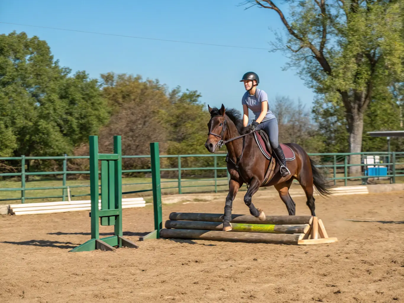 A young rider confidently guiding a horse through an obstacle course, demonstrating skill development and achievement.